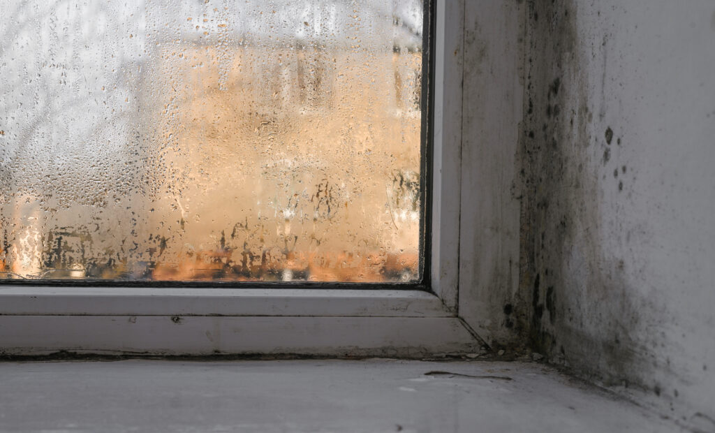 A misted window with condensation, mold, mildew and more in need of a misted window repair
